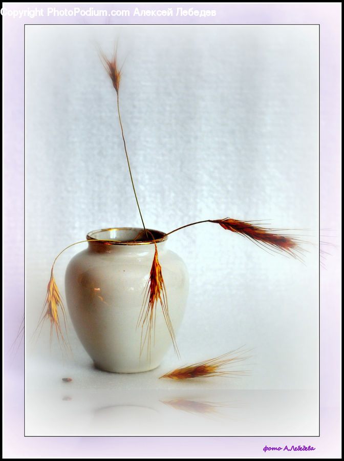 Garlic, Plant, Flower Arrangement, Ikebana, Potted Plant, Vase, Cockroach