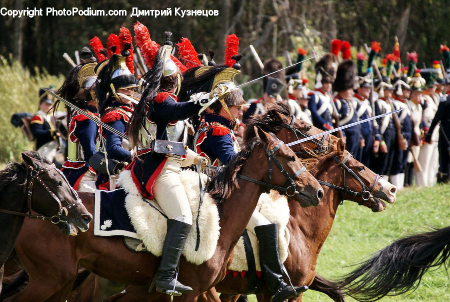 Animal, Horse, Mammal, People, Person, Human, Equestrian