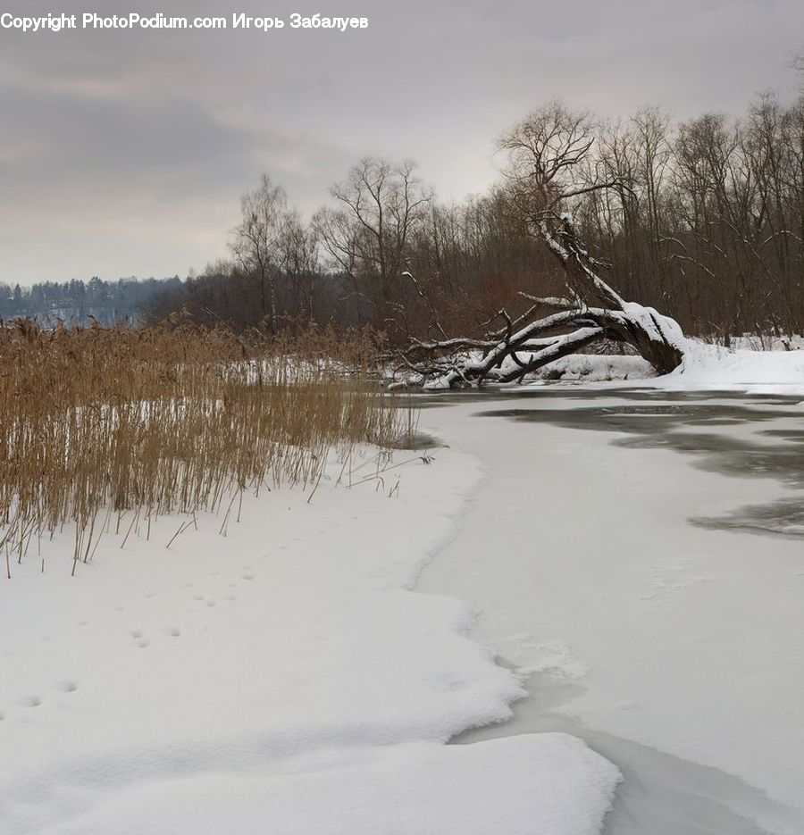 Ice, Outdoors, Snow, Landscape, Nature, Scenery, Field