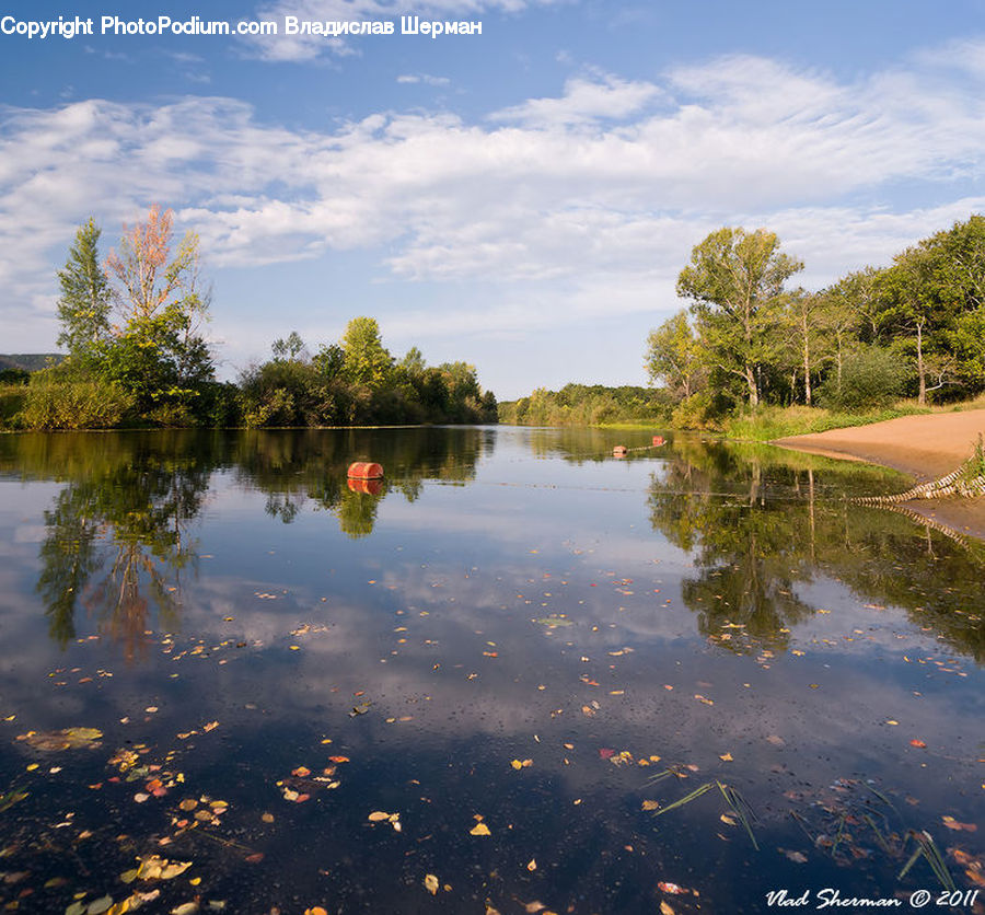 Outdoors, Pond, Water, Lake, Land, Marsh, Swamp