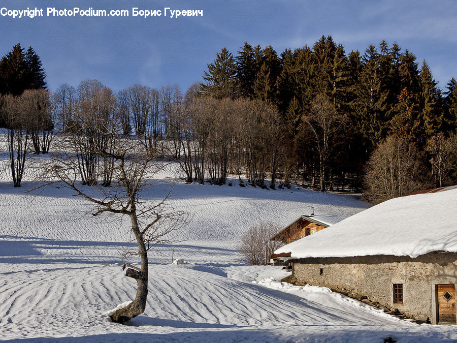 Cabin, Hut, Rural, Shack, Shelter, Ice, Outdoors