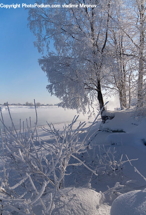 Blizzard, Outdoors, Snow, Weather, Winter, Landscape, Nature