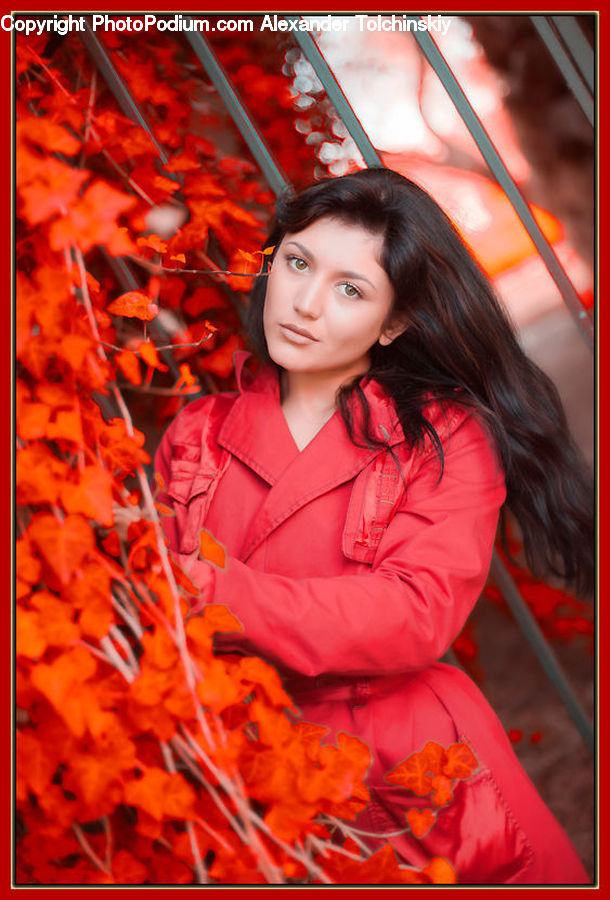 Human, People, Person, Flora, Flower, Gladiolus, Plant