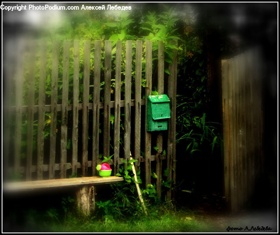 Plant, Potted Plant, Pot, Pottery, Forest, Jungle, Rainforest