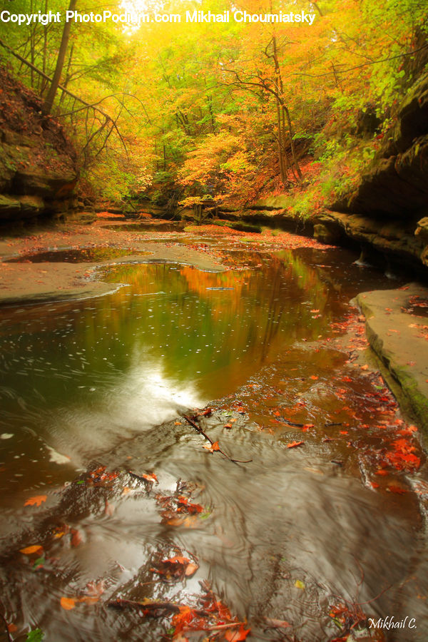 Creek, Outdoors, River, Water, Dirt Road, Gravel, Road