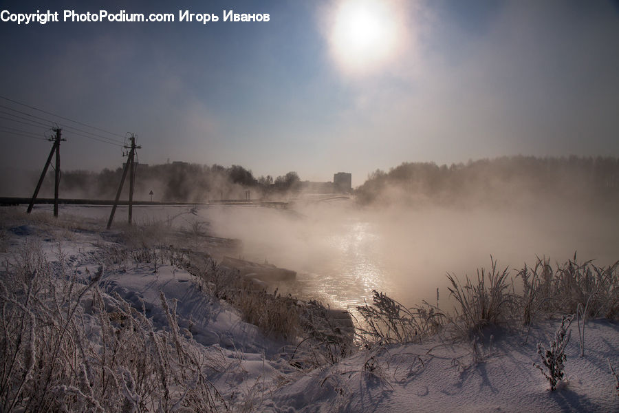 Grass, Plant, Reed, Frost, Ice, Outdoors, Snow