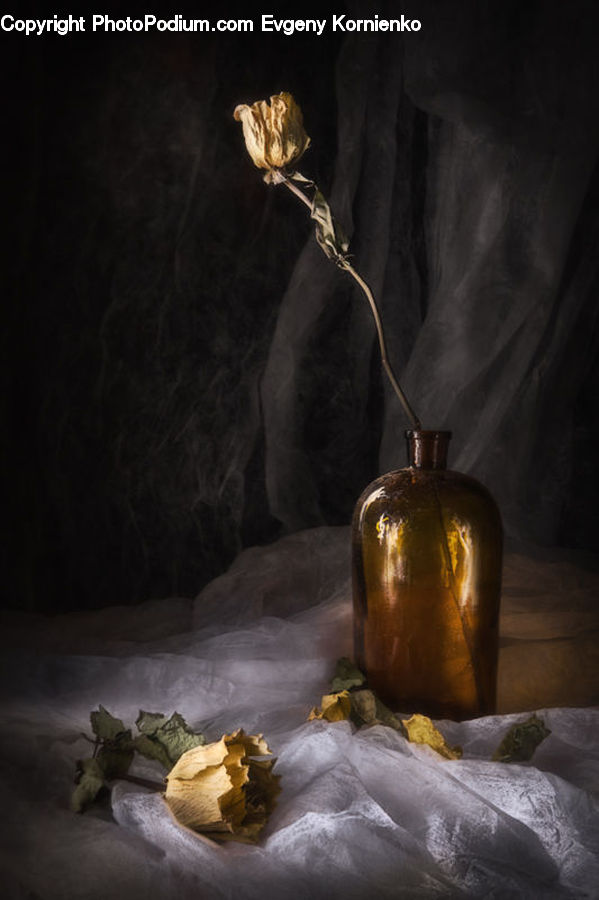 Plant, Potted Plant, Rock, Cake, Dessert, Food, Art