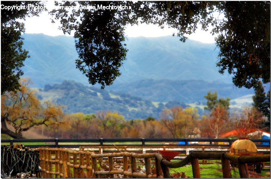 Deck, Porch, Gazebo, Landscape, Nature, Scenery, Hotel