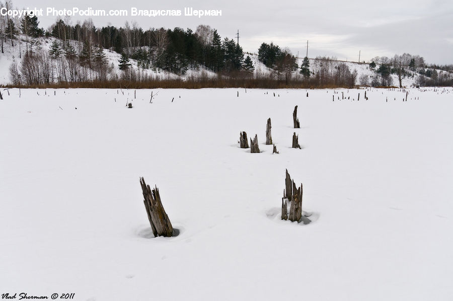 Tree Stump, Ice, Outdoors, Snow, Arctic, Winter