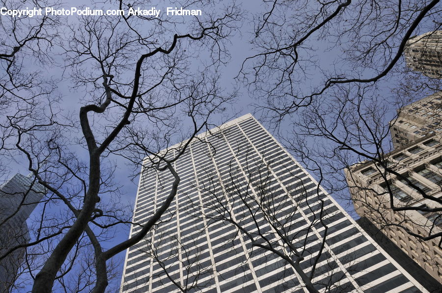 Building, City, High Rise, Architecture, Downtown, Skyscraper, Housing