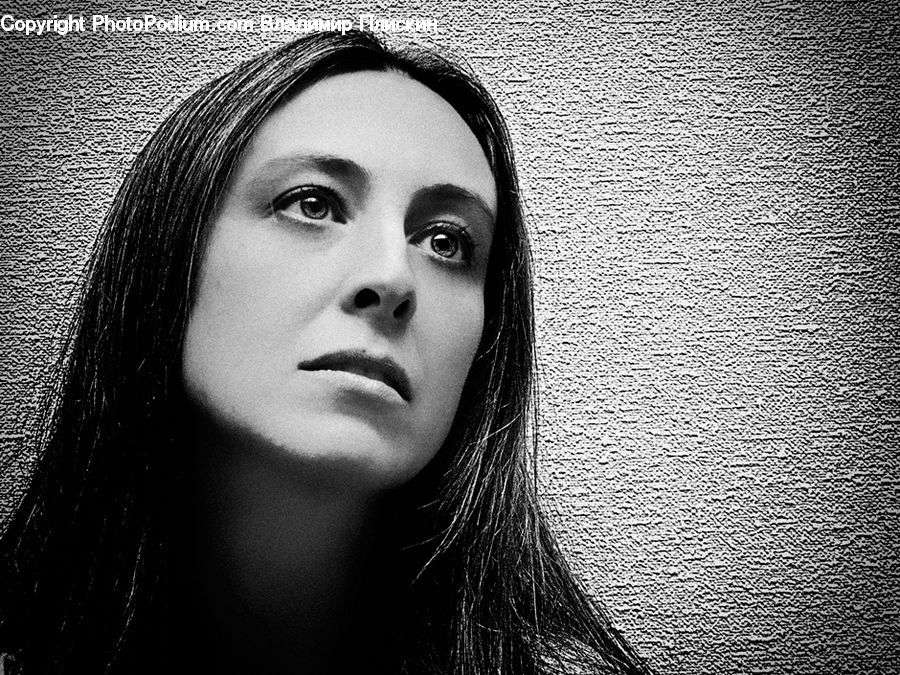 Human, People, Person, Portrait, Female, Face