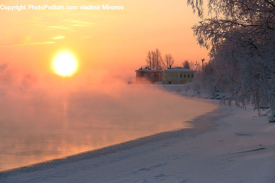 Blizzard, Outdoors, Snow, Weather, Winter, Dawn, Dusk