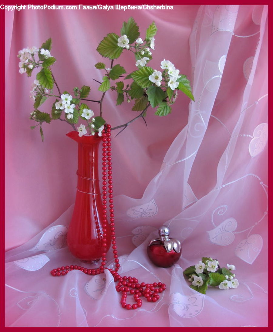 Plant, Potted Plant, Jar, Porcelain, Vase, Flower Arrangement, Ikebana