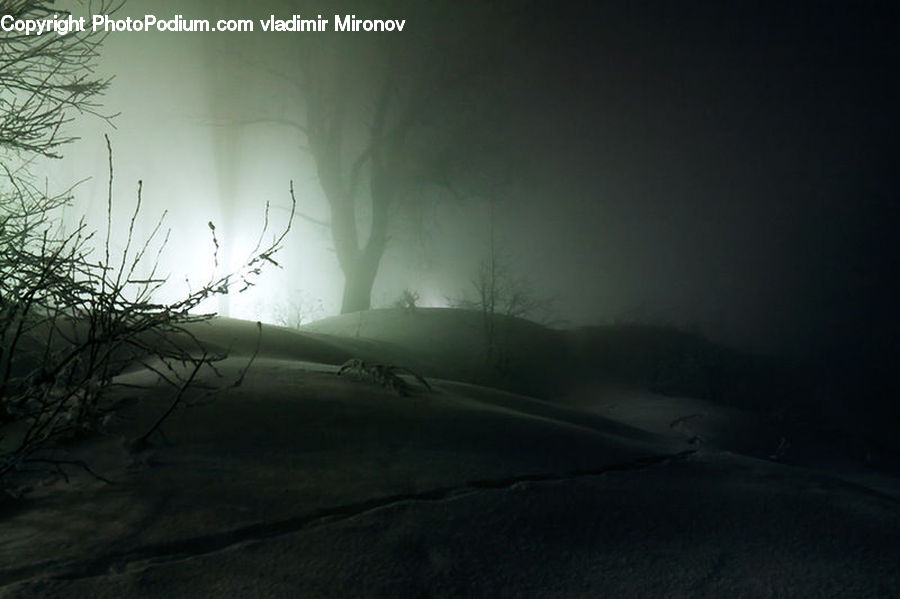 Grass, Plant, Reed, Fog, Light, Dawn, Dusk