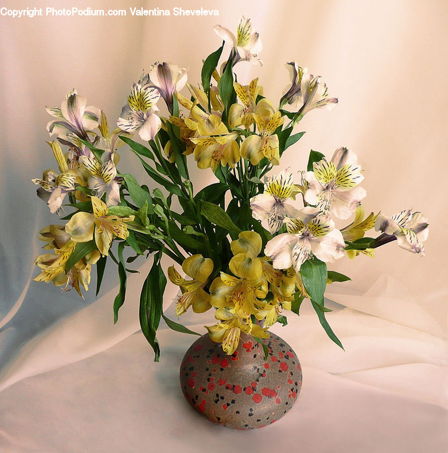 Floral Design, Flower, Flower Arrangement, Flower Bouquet, Ikebana, Plant, Blossom