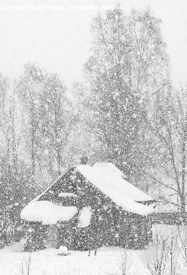 Ice, Outdoors, Snow, Blizzard, Weather, Winter