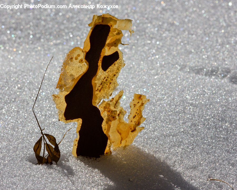 Rust, Crystal, Asphalt, Tarmac, Butterfly, Insect, Invertebrate