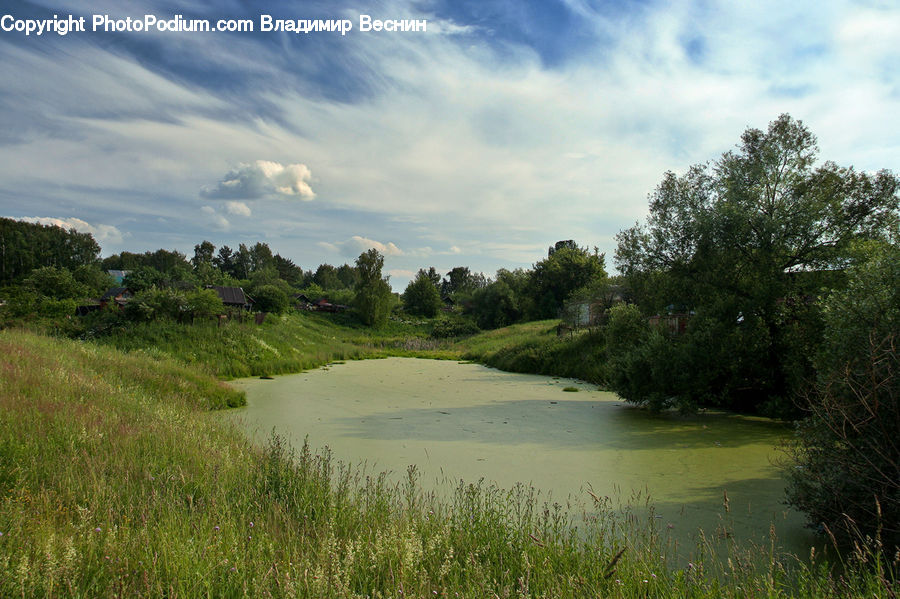 Field, Grass, Grassland, Plant, Land, Outdoors, Pond
