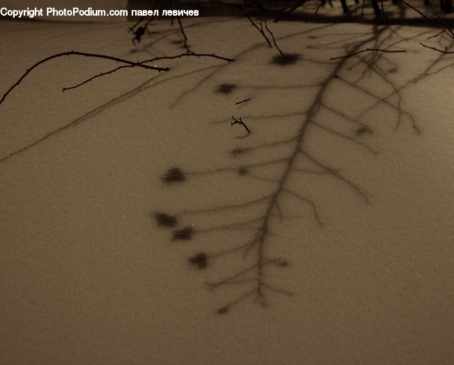 Paper, Outdoors, Sand, Soil