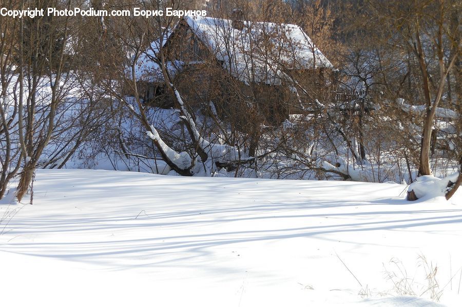 Tree Trunk, Ice, Outdoors, Snow, Cabin, Hut, Rural