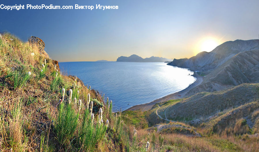 Promontory, Cliff, Outdoors, Field, Grass, Grassland, Plant