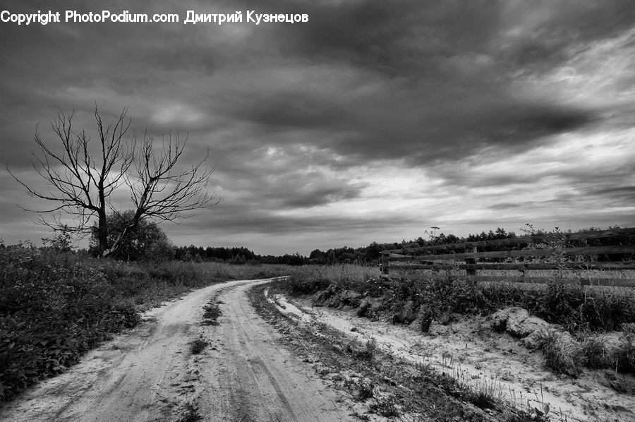 Countryside, Outdoors, Dirt Road, Gravel, Road, Field, Rural