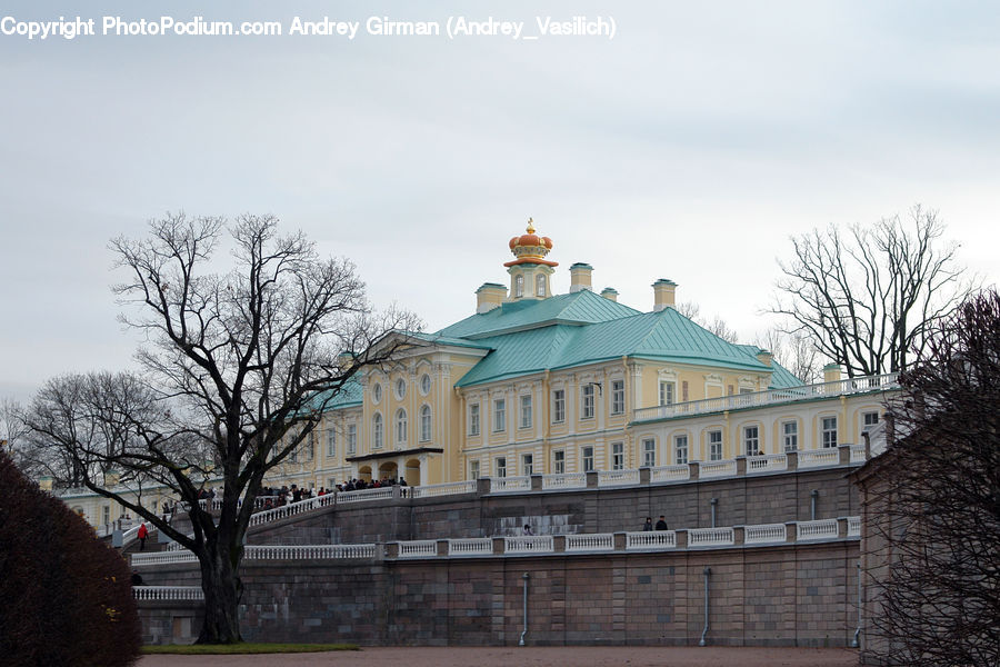 Building, Office Building, Plant, Tree, Housing, Villa, Architecture