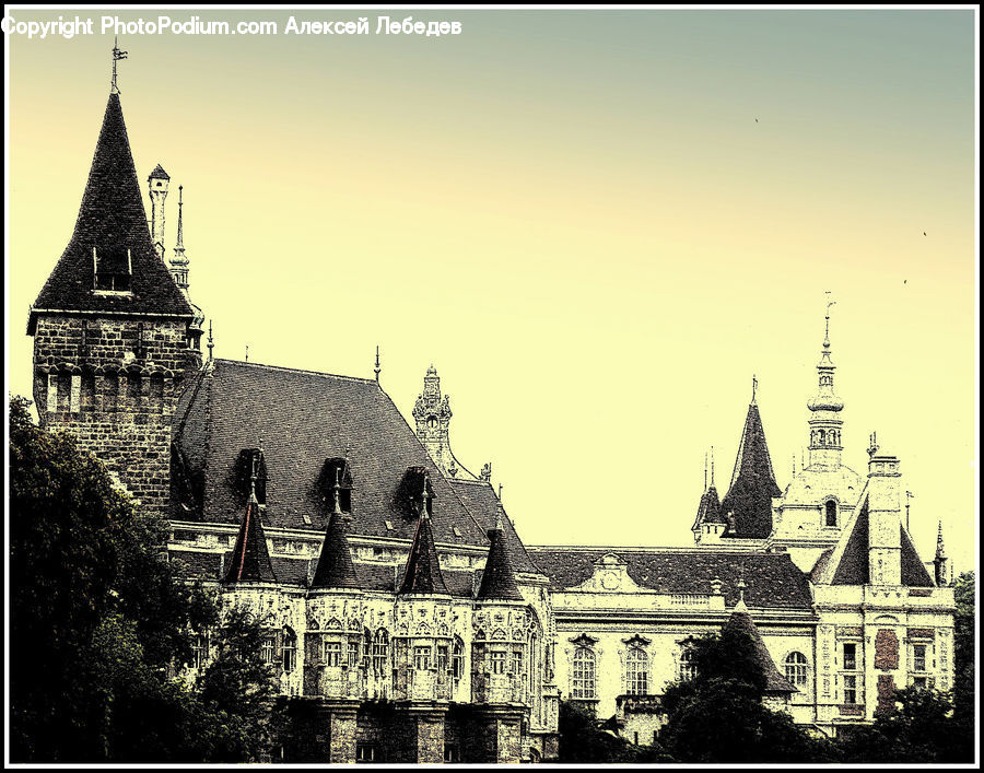 People, Person, Human, Architecture, Cathedral, Church, Worship