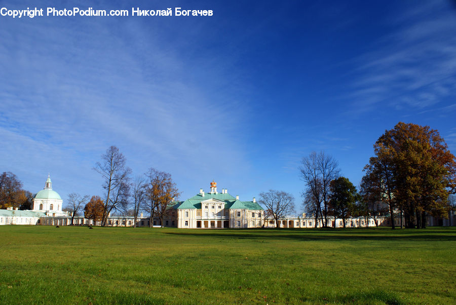 Field, Grass, Lawn, Grassland, Land, Outdoors, Plant