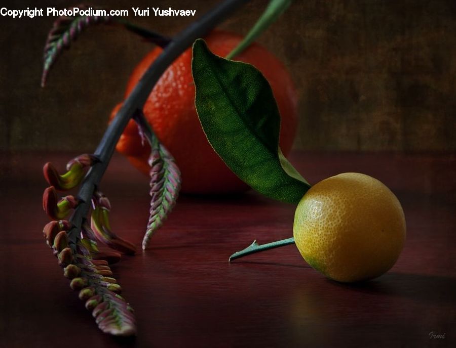 Citrus Fruit, Fruit, Grapefruit, Pomelo, Acanthaceae, Annonaceae, Plant