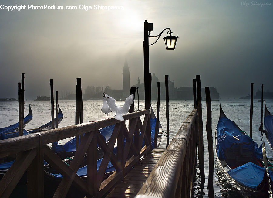 Boat, Gondola, Bird, Seagull, Dock, Landing, Pier