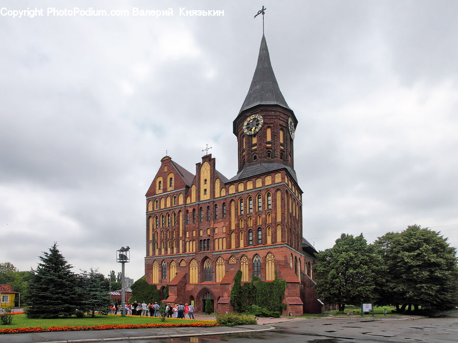 Plant, Potted Plant, Architecture, Bell Tower, Clock Tower, Tower, Building