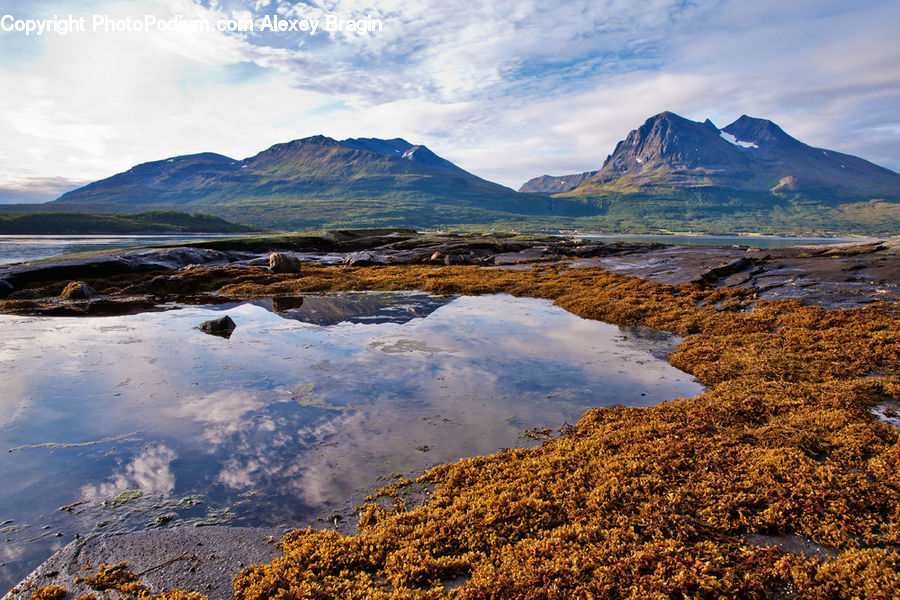 Arctic, Glacier, Ice, Mountain, Outdoors, Snow, Plateau