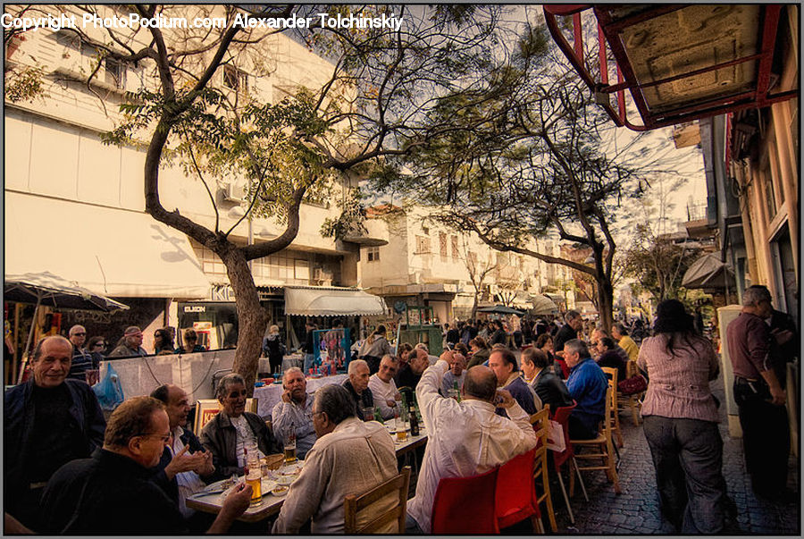 Human, People, Person, Crowd, Plant, Potted Plant, Audience