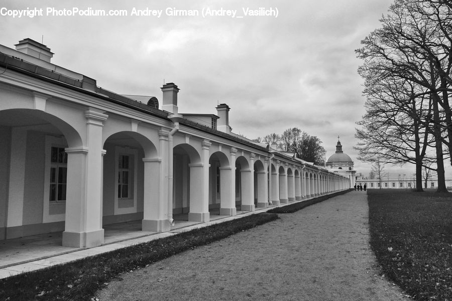 Building, Housing, Villa, Asphalt, Tarmac, Road, Street