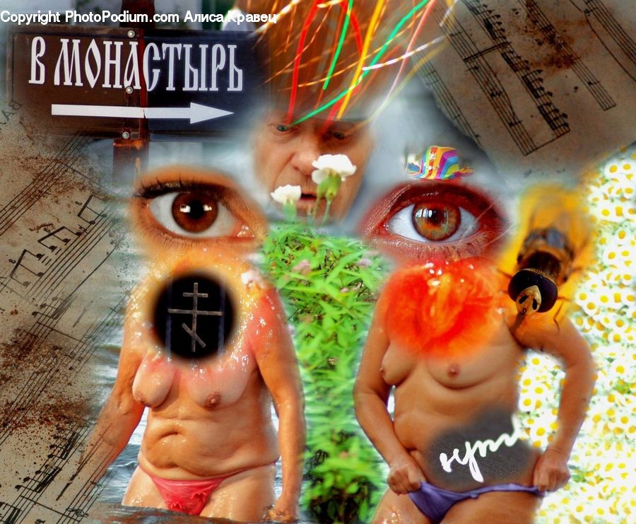 People, Person, Human, Collage, Poster, Brochure, Flyer