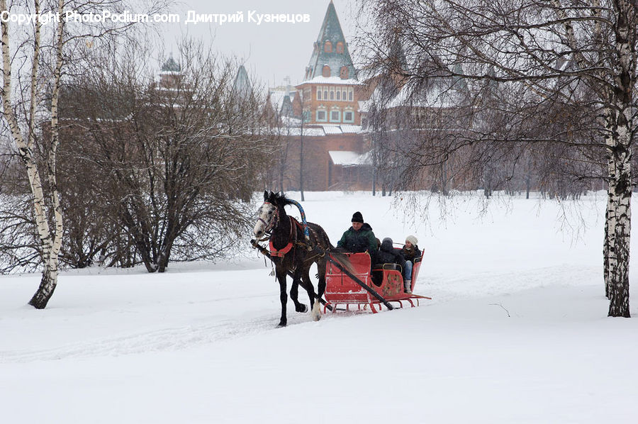 Animal, Horse, Mammal, People, Person, Human, Architecture