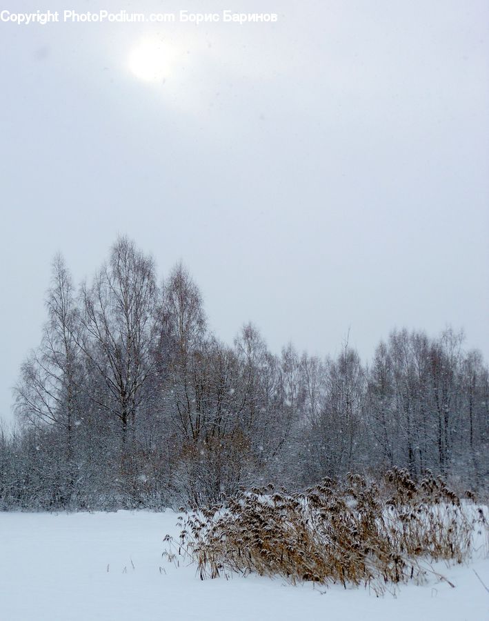 Landscape, Nature, Scenery