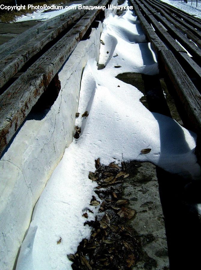 Seaweed, Banister, Handrail