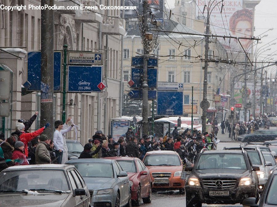 Automobile, Car, Vehicle, Traffic Jam, Suv, Sedan, Cab