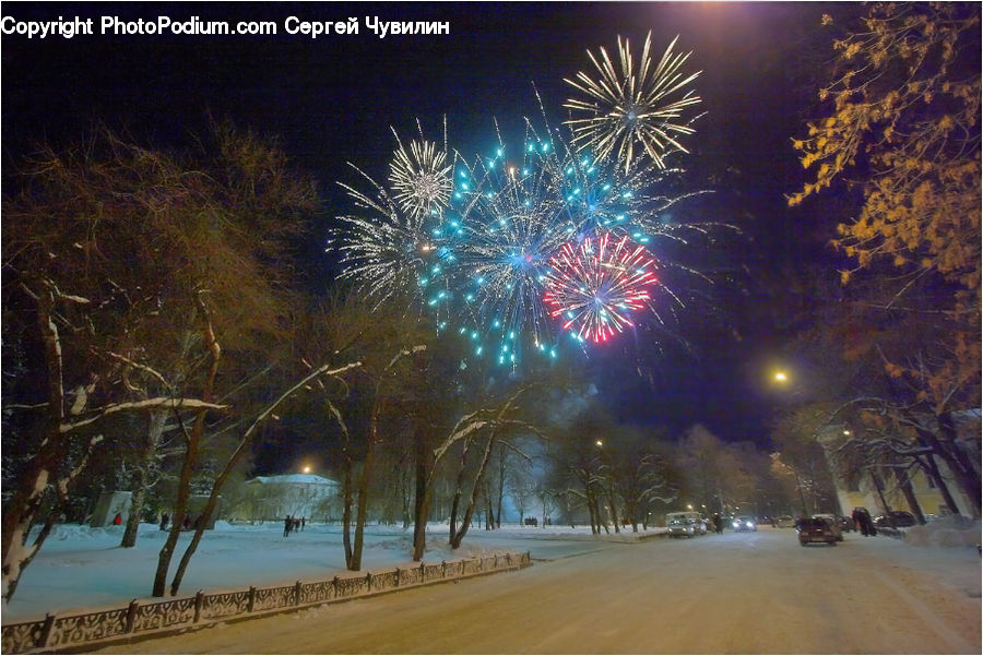 Fireworks, Night, Plant, Tree, Beach, Coast, Outdoors