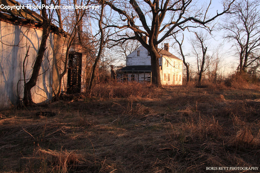 Cabin, Hut, Rural, Shack, Shelter, Building, Cottage