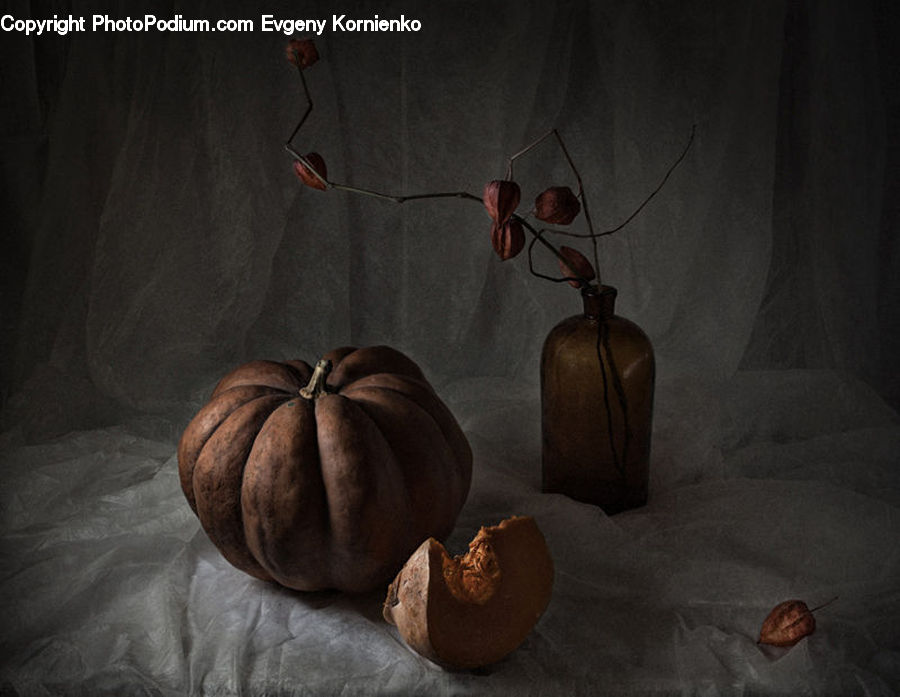 Nut, Seed, Walnut, Pumpkin, Squash, Vegetable, Food