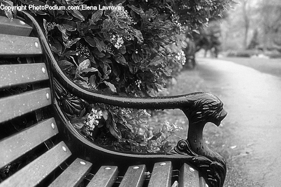 Bench