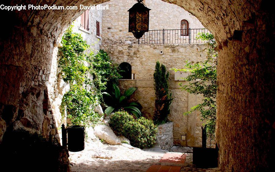 Plant, Potted Plant, Patio, Castle, Fort, Ruins, Conifer