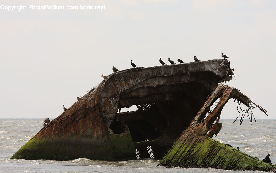 Shipwreck, Coast, Outdoors, Sea, Water