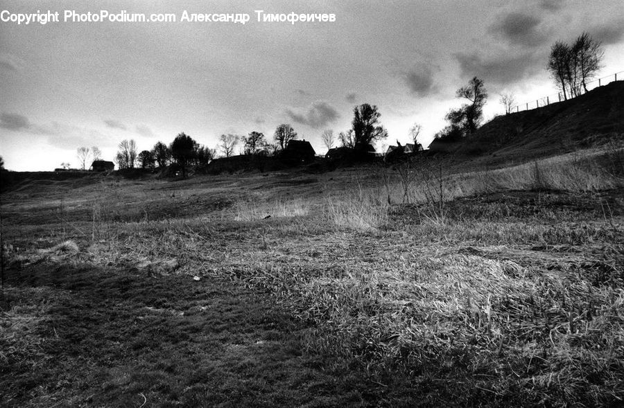 Countryside, Outdoors, Field, Grass, Grassland, Farm, Ground