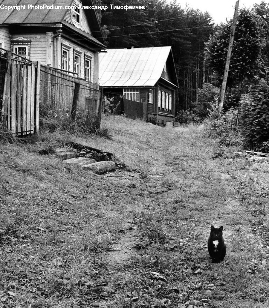 Building, Cottage, Housing, Cabin, Hut, Rural, Shack