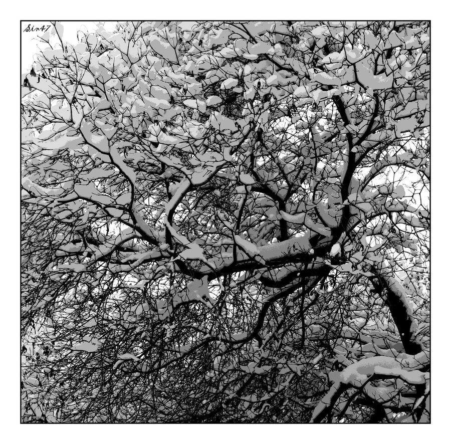 Oak, Tree, Wood, Doodle, Drawing, Plant, Art