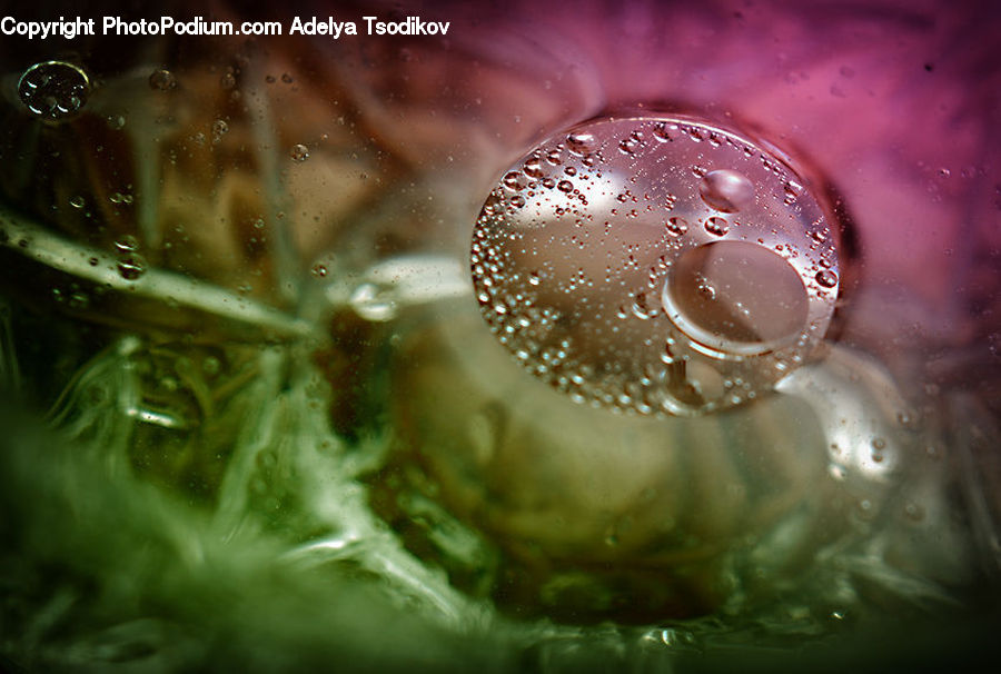 Bubble, Droplet, Water, Beverage, Glass, Wine, Wine Glass